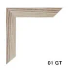 01-GT