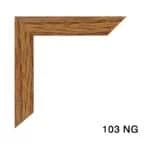 103-NG