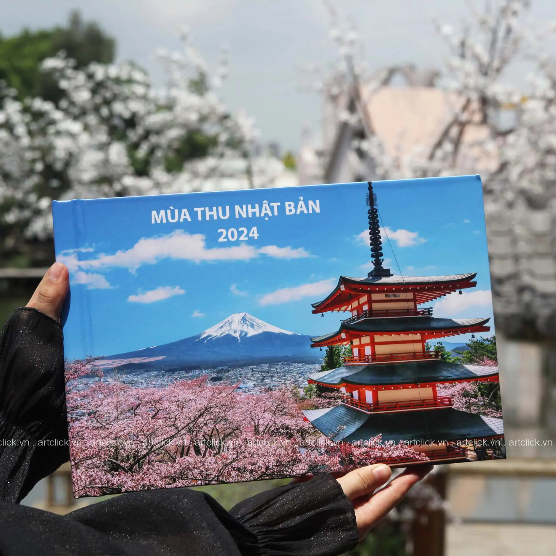 hình đi du lịch